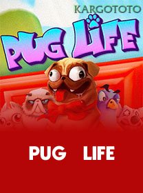 Pug Life